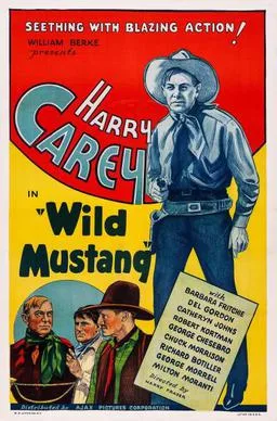 Wild Mustang poster