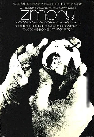 Zmory poster