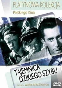Tajemnica dzikiego szybu poster