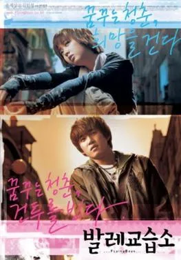 Flying Boys poster