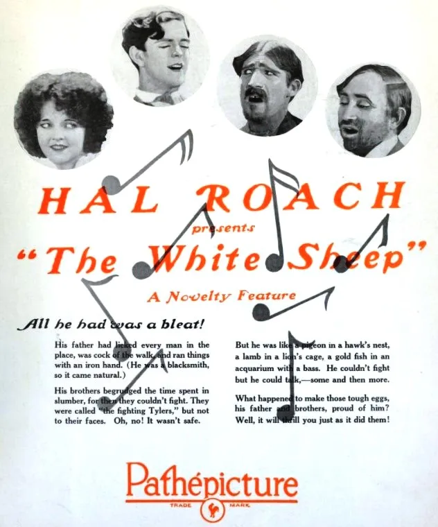 The White Sheep poster