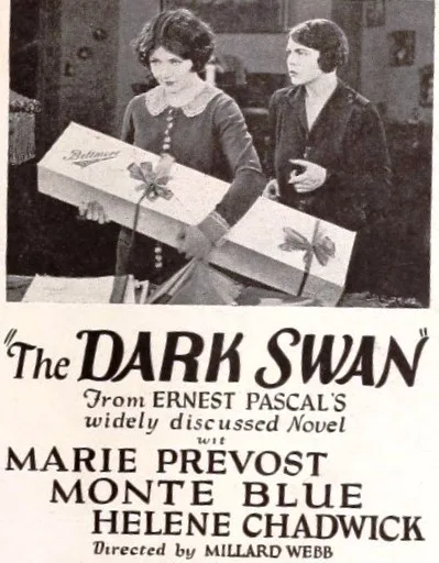 The Dark Swan poster