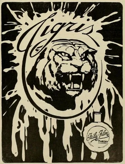 Tigris poster