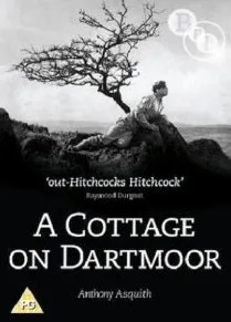 A Cottage on Dartmoor poster
