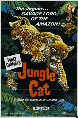 Jungle Cat poster