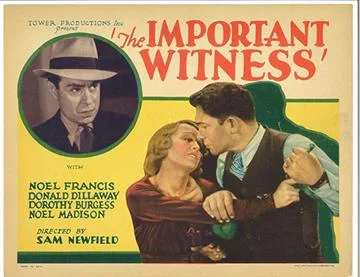 The Important Witness poster