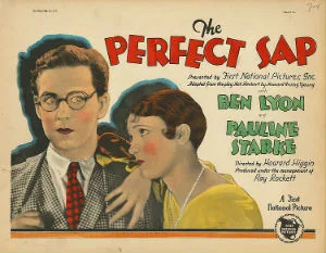 The Perfect Sap poster