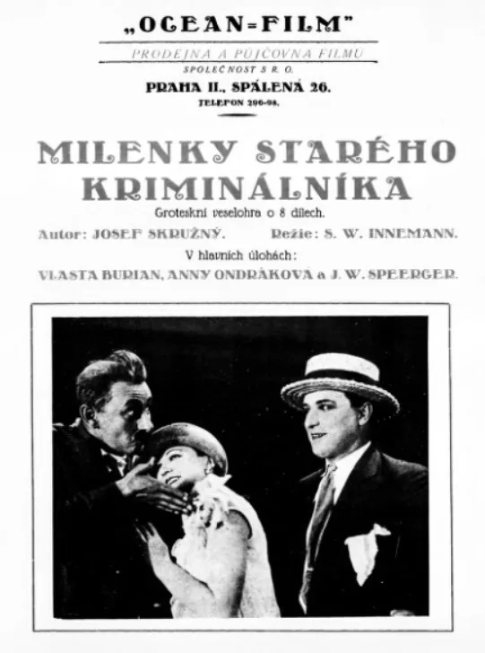 The Lovers of an Old Criminal poster