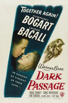 Dark Passage poster