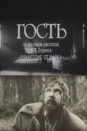 The Guest poster