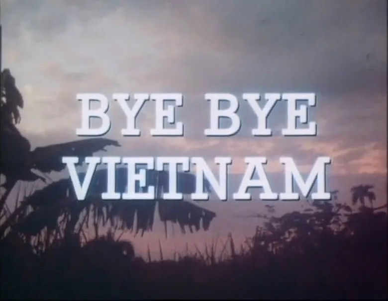 Bye Bye Vietnam poster