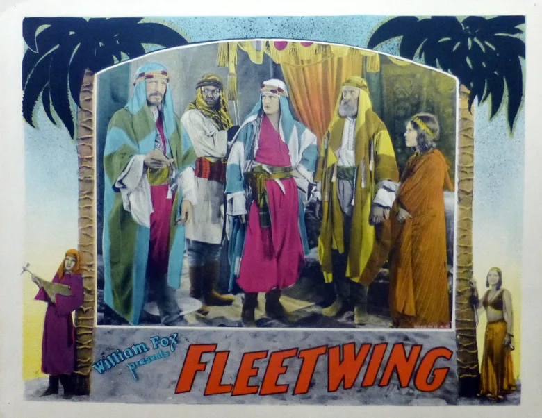 Fleetwing poster