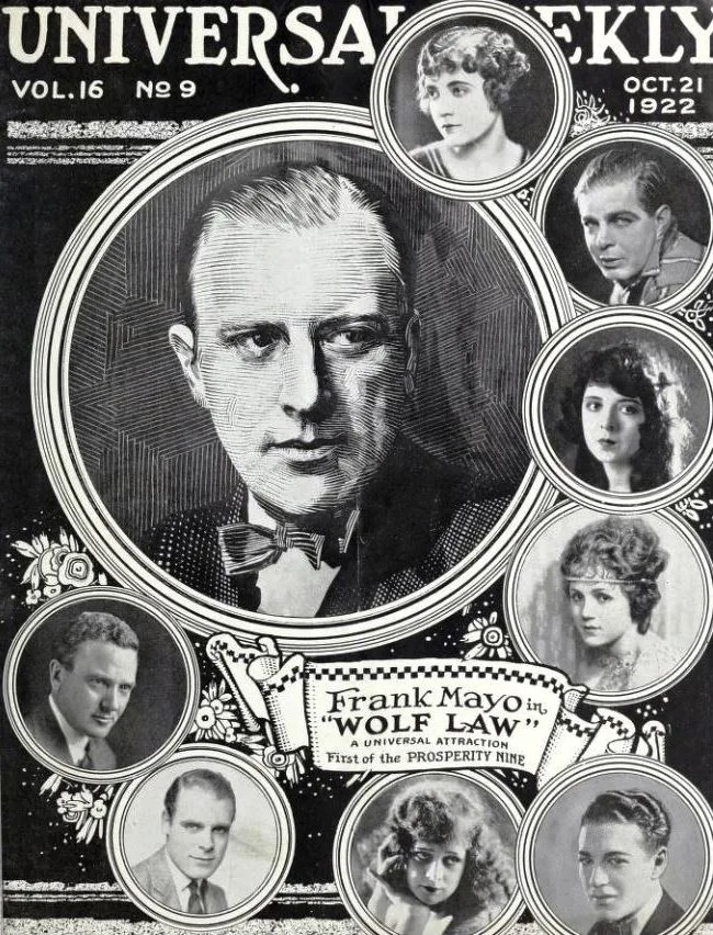 Wolf Law poster
