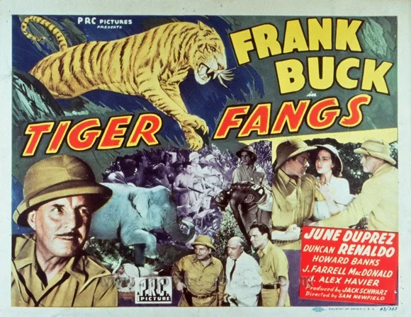 Tiger Fangs poster