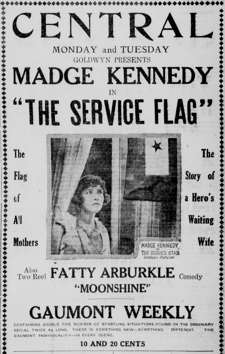 The Service Star poster