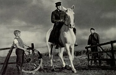 The Rider on the White Horse poster