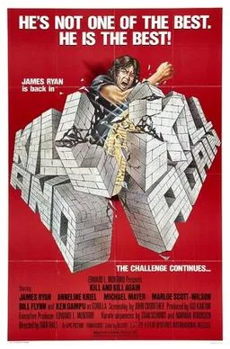 Kill and Kill Again poster