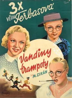 Vandiny trampoty poster