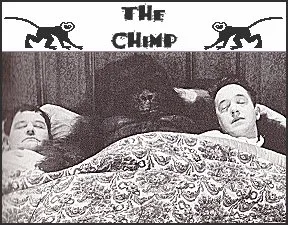 The Chimp poster