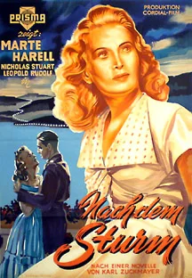 After the Storm poster