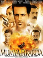 Runaway Mummy poster