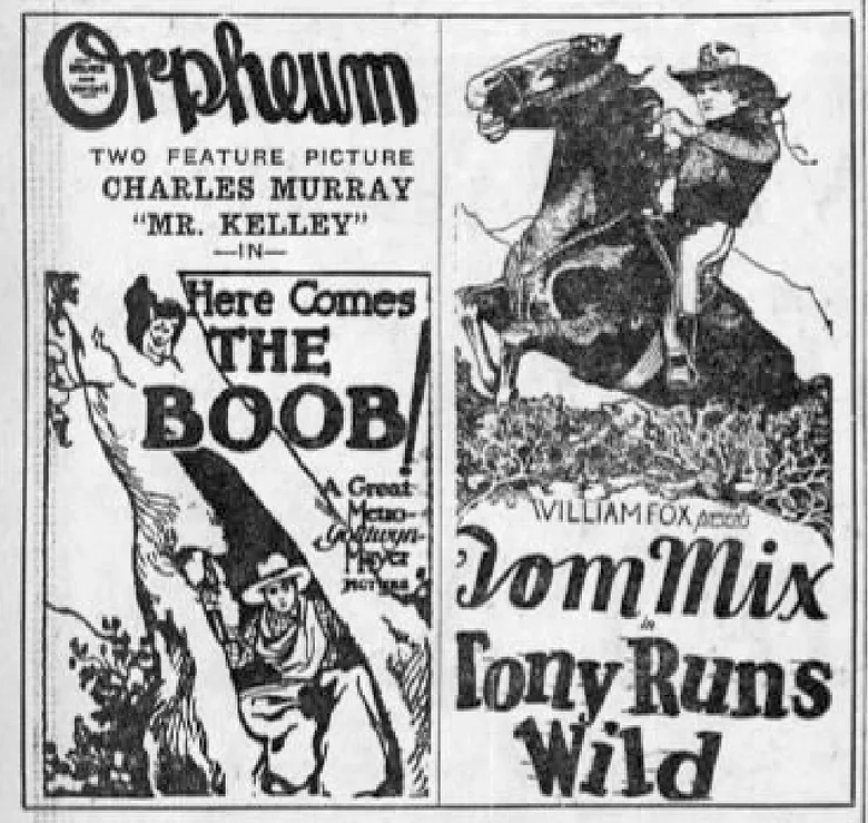 The Boob poster