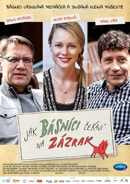 Jak básníci čekají na zázrak poster