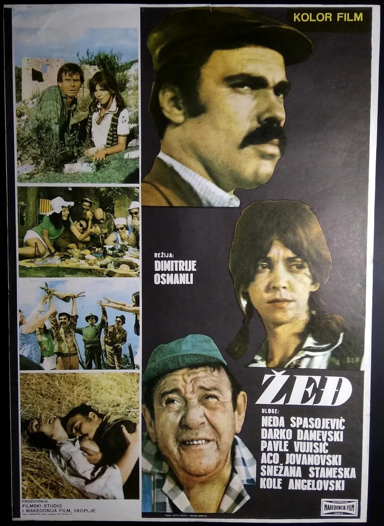 Žed poster