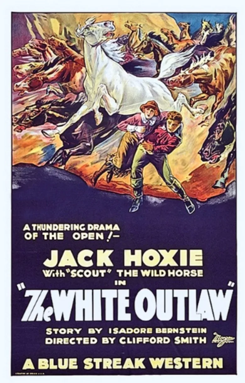 The White Outlaw poster