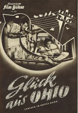 Good Fortune in Ohio poster