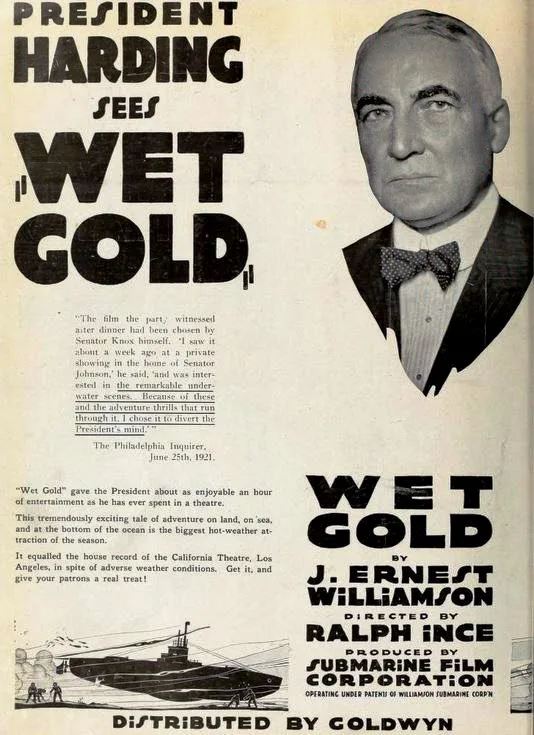 Wet Gold poster