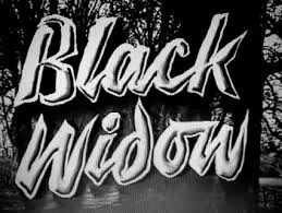The Black Widow poster