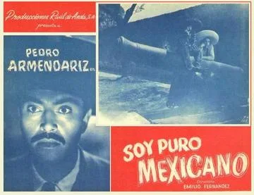 I'm a Real Mexican poster