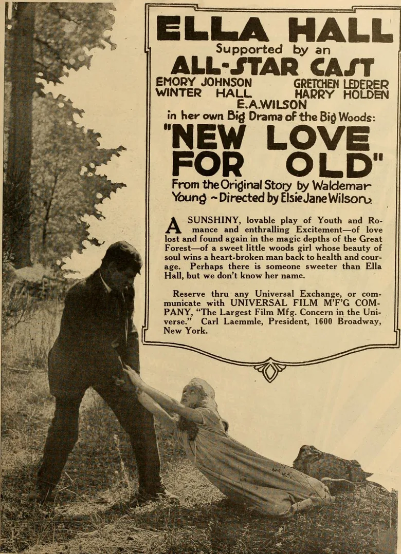 New Love for Old poster