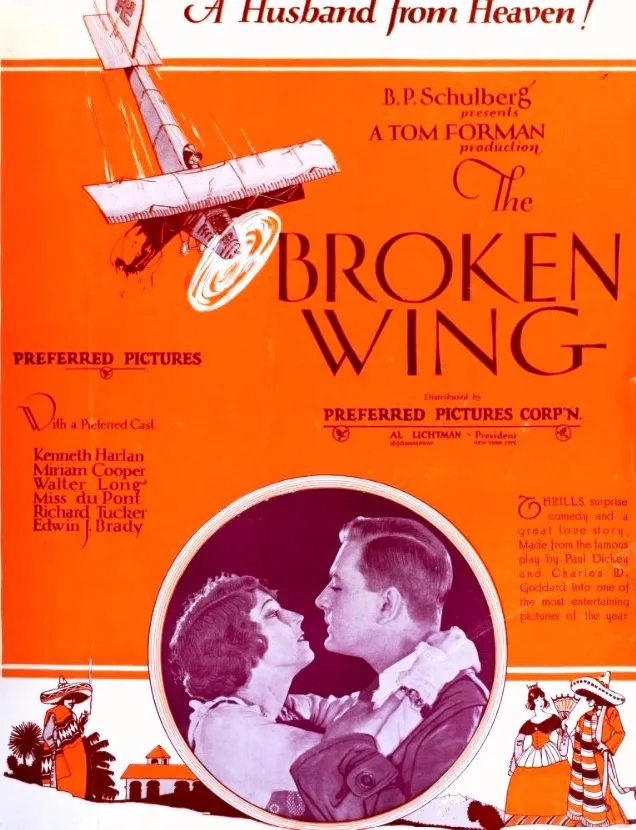 The Broken Wing poster