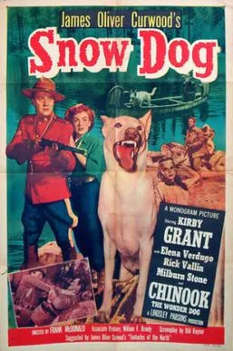 Snow Dog poster