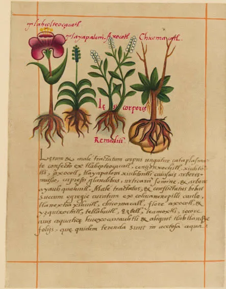 The Good Herbs poster