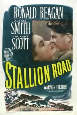 Stallion Road poster
