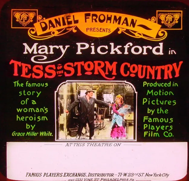 Tess of the Storm Country poster