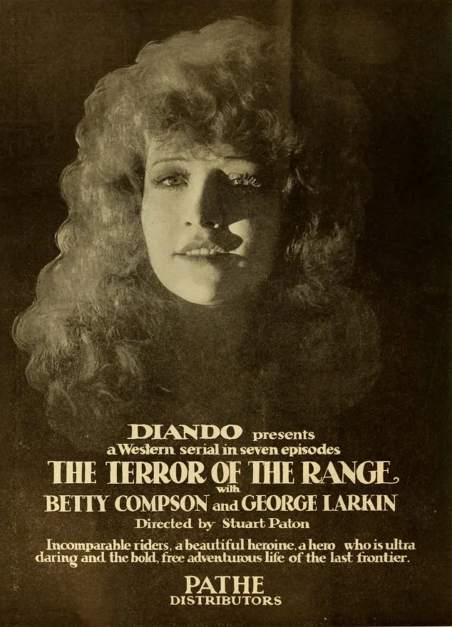 Terror of the Range poster