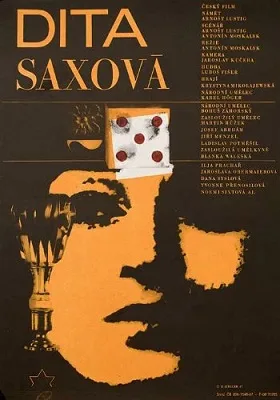 Dita Saxová poster