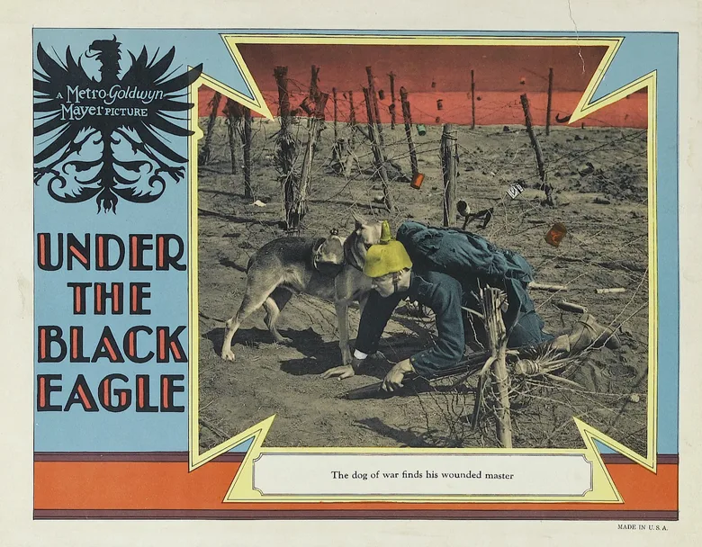 Under the Black Eagle poster