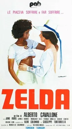 Zelda poster