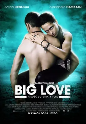 Big Love poster