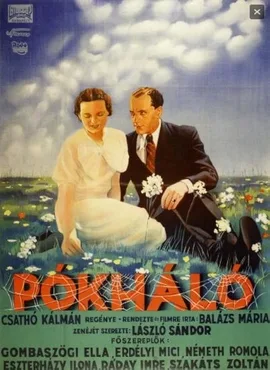 Cobweb poster