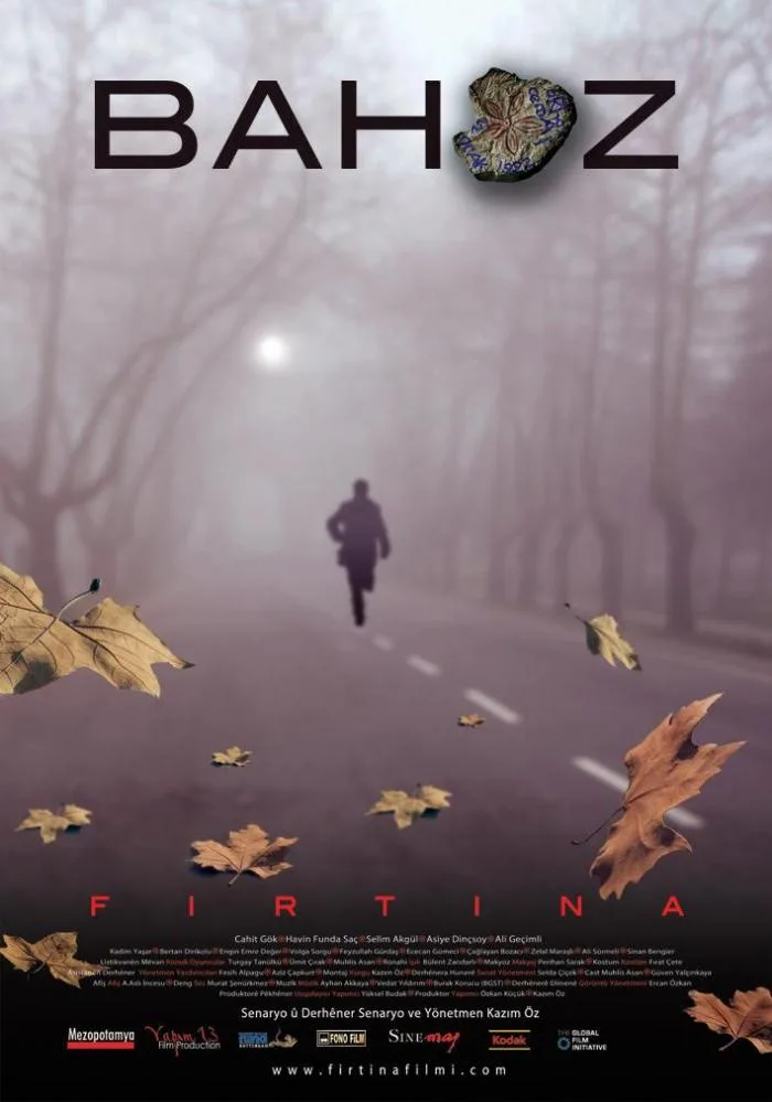 The storm poster
