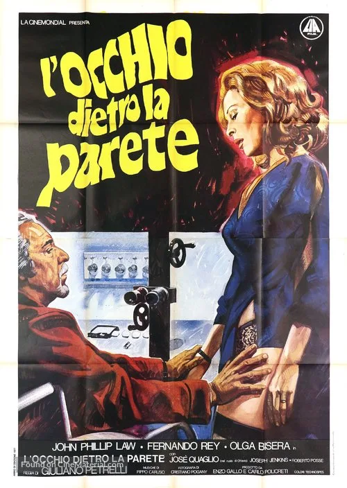 L'occhio dietro la parete poster