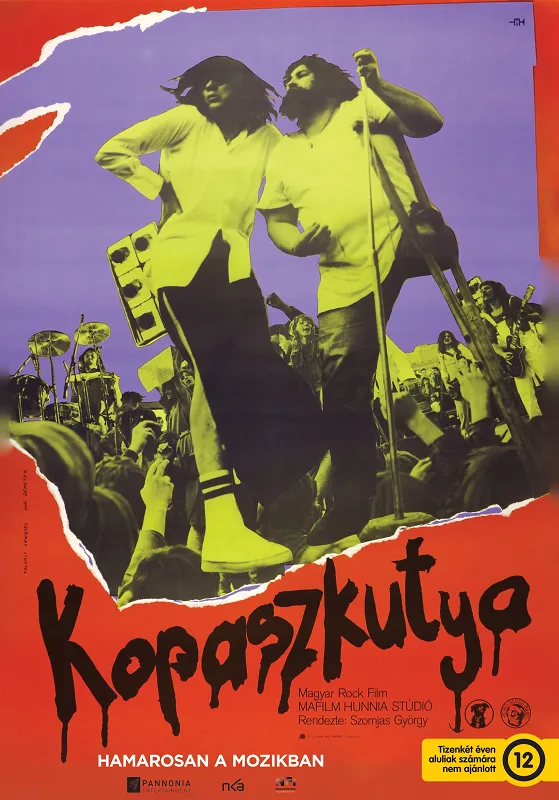 Kopaszkutya poster