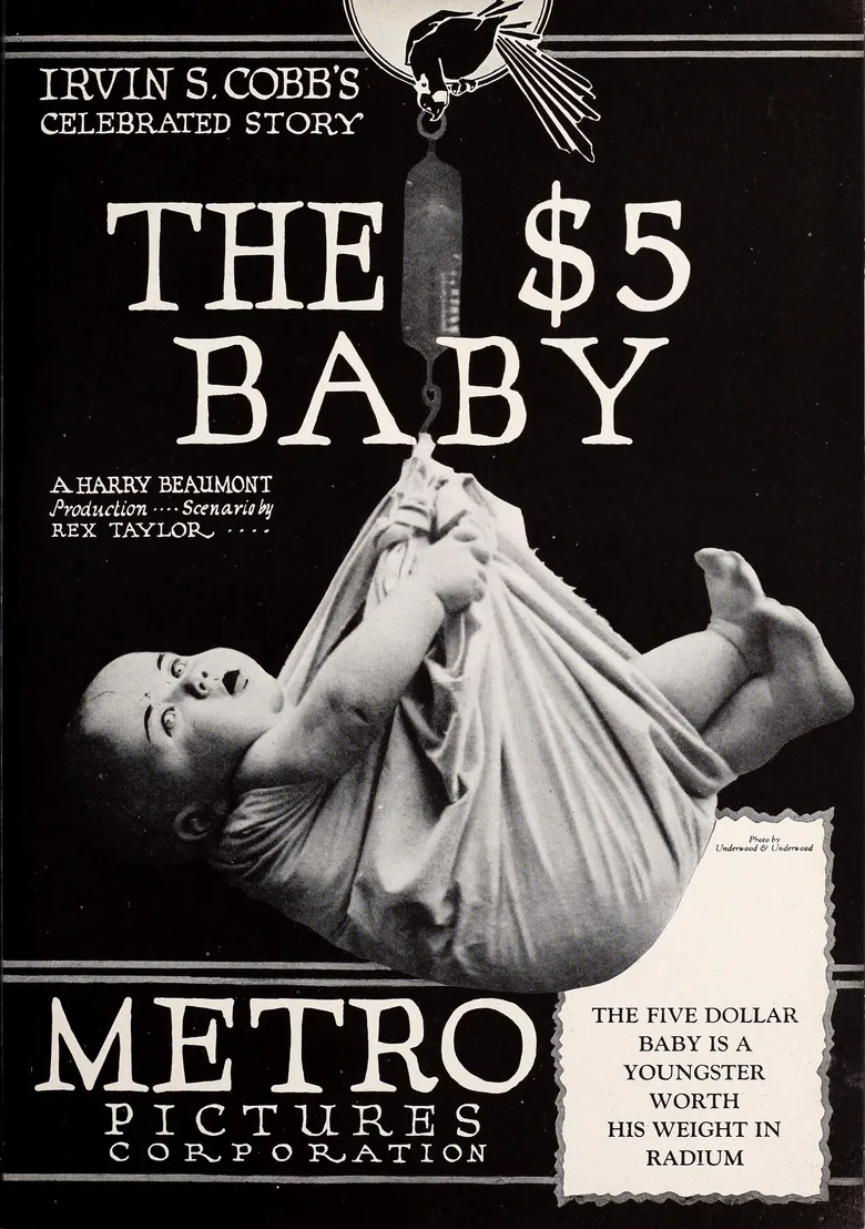 The Five Dollar Baby poster