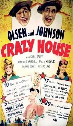 Crazy House poster